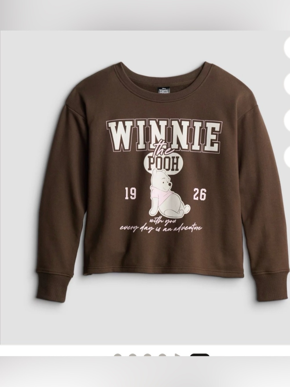 Disney Brown Winnie the Pooh Graphic Sweatshirt with Pastel Pink Accent